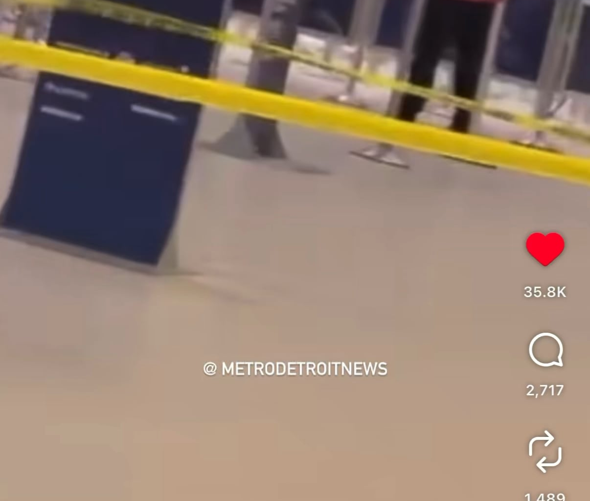 Lions fan tries to make a direct connection at DTW