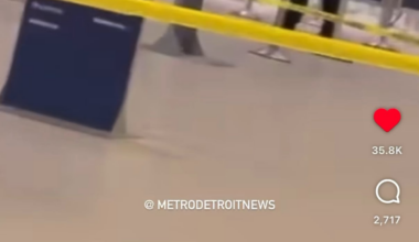 Lions fan tries to make a direct connection at DTW
