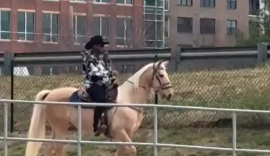 Best. Entrance. Ever.