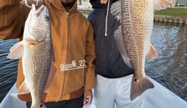 Ja’lynn Polk 1000 yards next szn confirmed