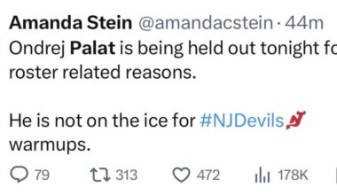 Your thoughts on Pally?