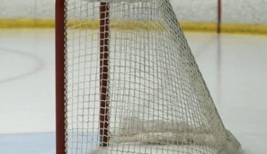 Michkov seeing the net from this angle and just ripping a shot like he fully expects it to find its way in, pretty much every game at this point