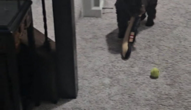 New Blue Jackets Prospect?