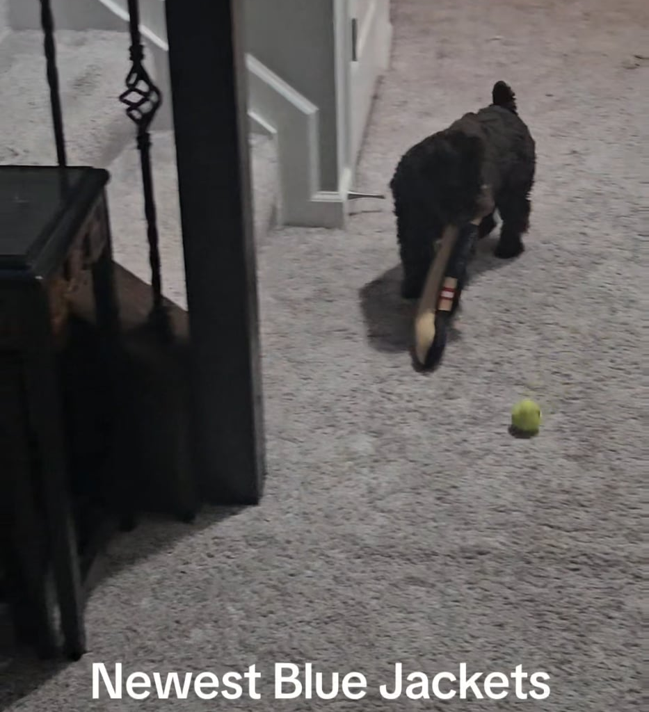 New Blue Jackets Prospect?