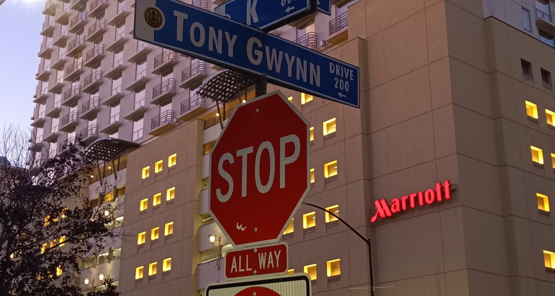 Just saw these signs near the Petco Park while checking out the Team Store. Does anyone here know when the Tony Gwynn Drive was established?