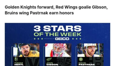 Hertl First Star 💛🖤