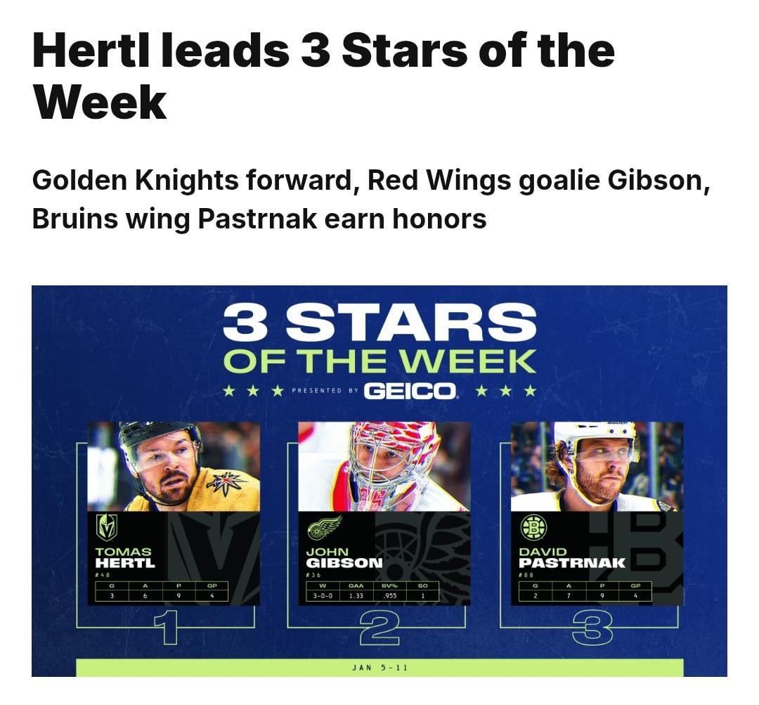 Hertl First Star 💛🖤