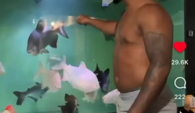 [Ozzie] Albies feeds local community in need and repairs their air supply