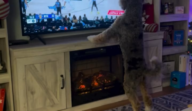 LOCKED IN TO THE KNICKS