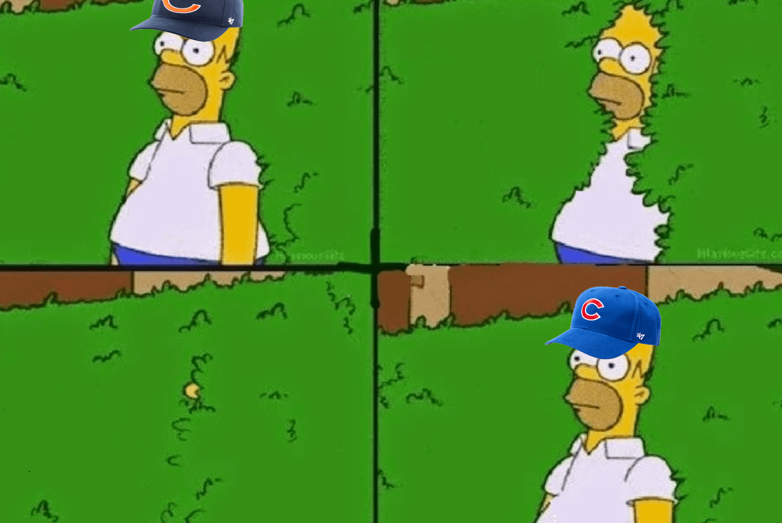 My Bears coping strategy at the moment...