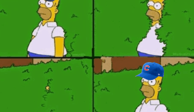 My Bears coping strategy at the moment...