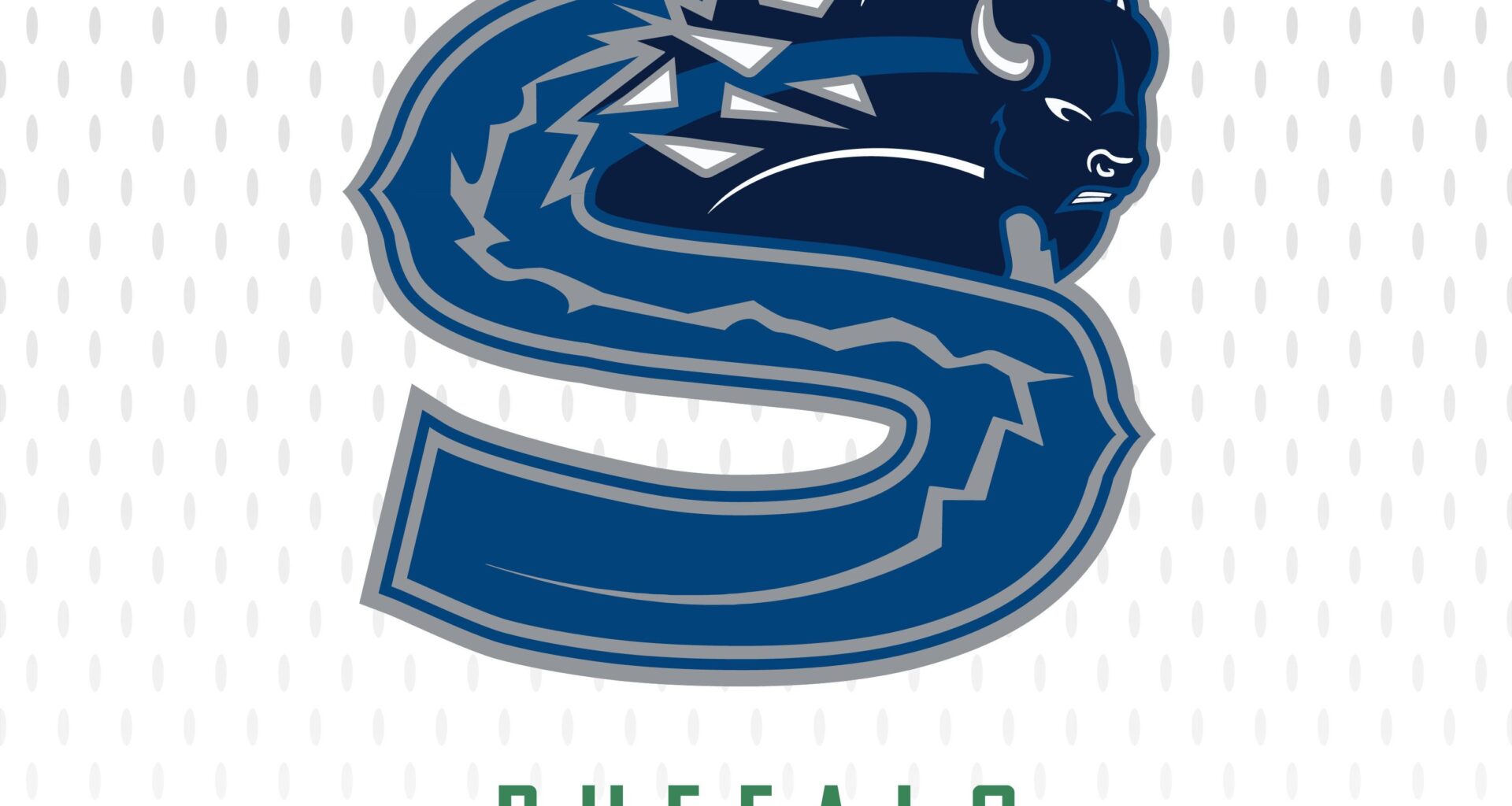 Sabres Stolen Identities 2025/2026: Game 41-Vancouver Canucks