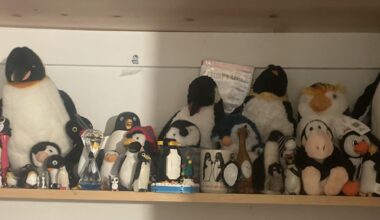My penguin collection