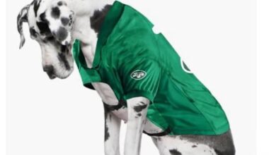 Is this Animal Abuse?