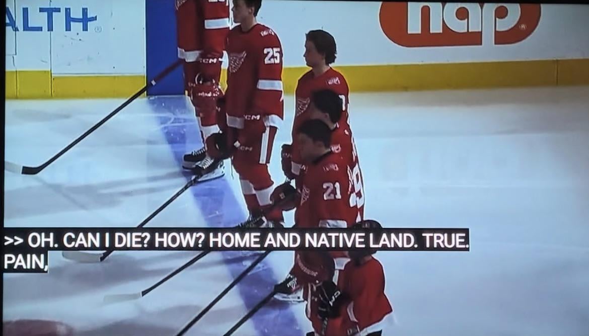 AI captions describing how jets fans feel