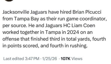 Picucci hired by Jags