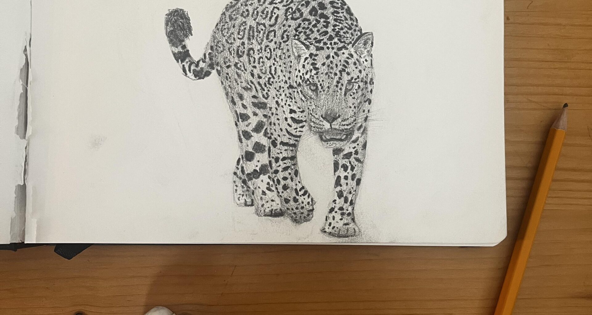 „The Prowler“ art by me