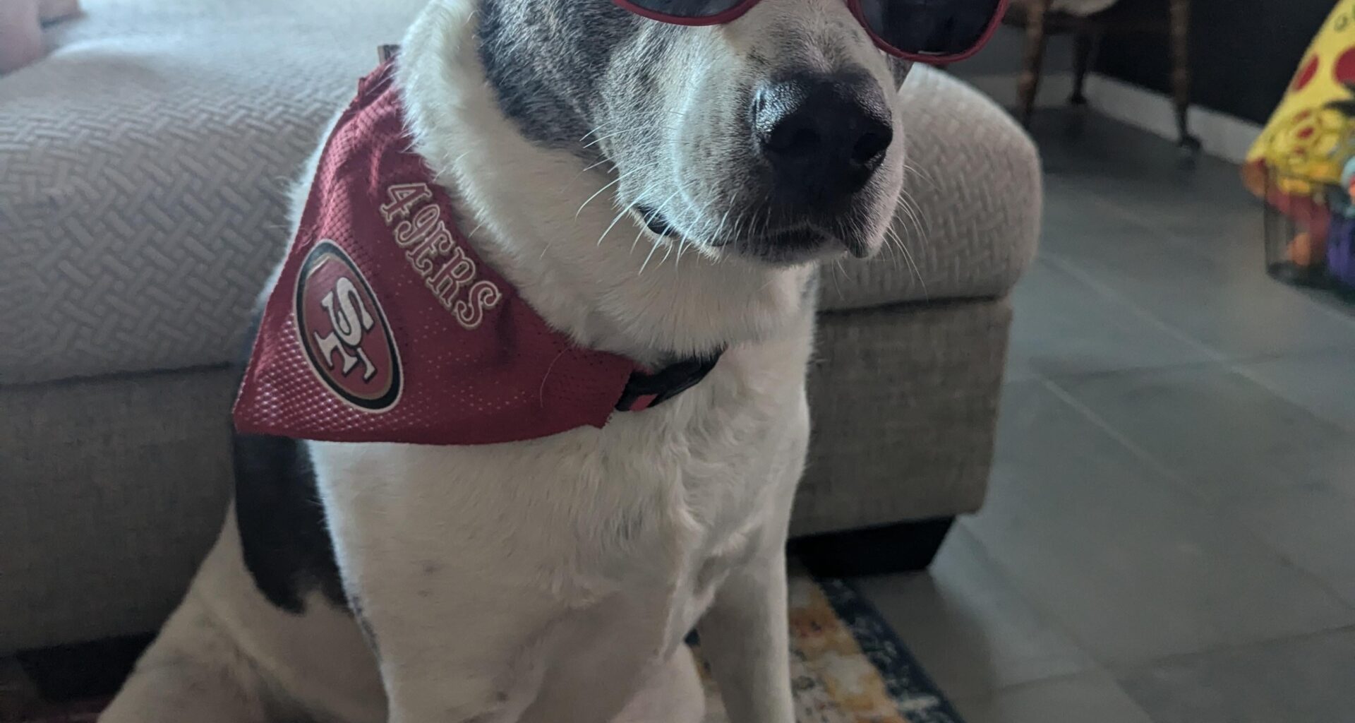 You up yet? It's game day Faithful