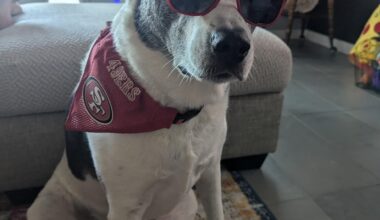 You up yet? It's game day Faithful