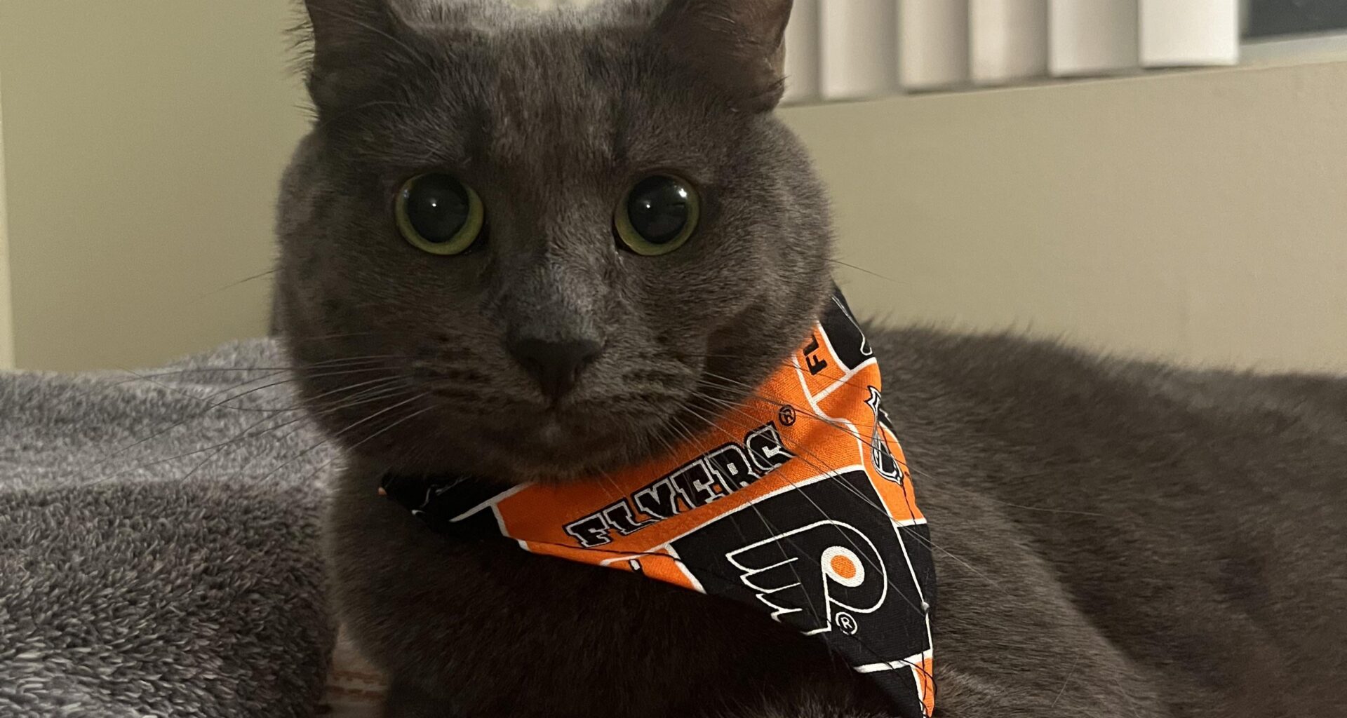 Digit’s not a fair-weather fan but she sure does wish the weather would change