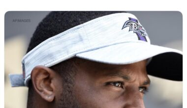 Anthony Levine interviewed for ST