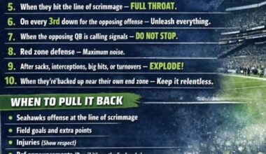 Noise rules for those going to the divisional round seahawks game