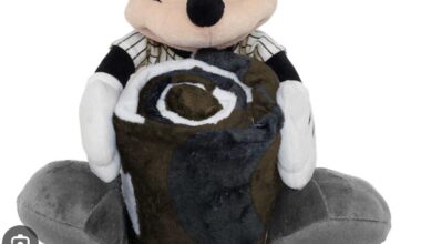 Does anyone have one of these