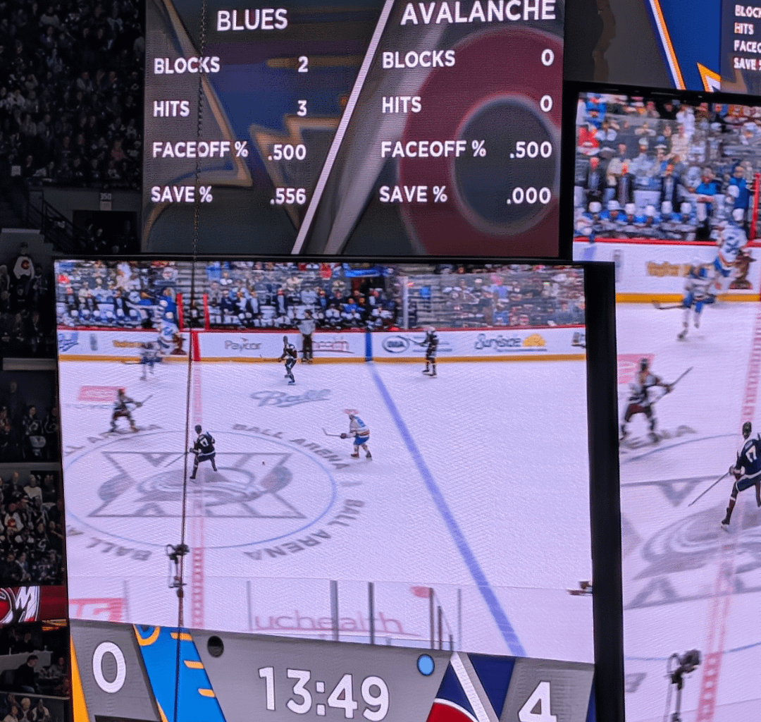 Experience. Blues. Hockey