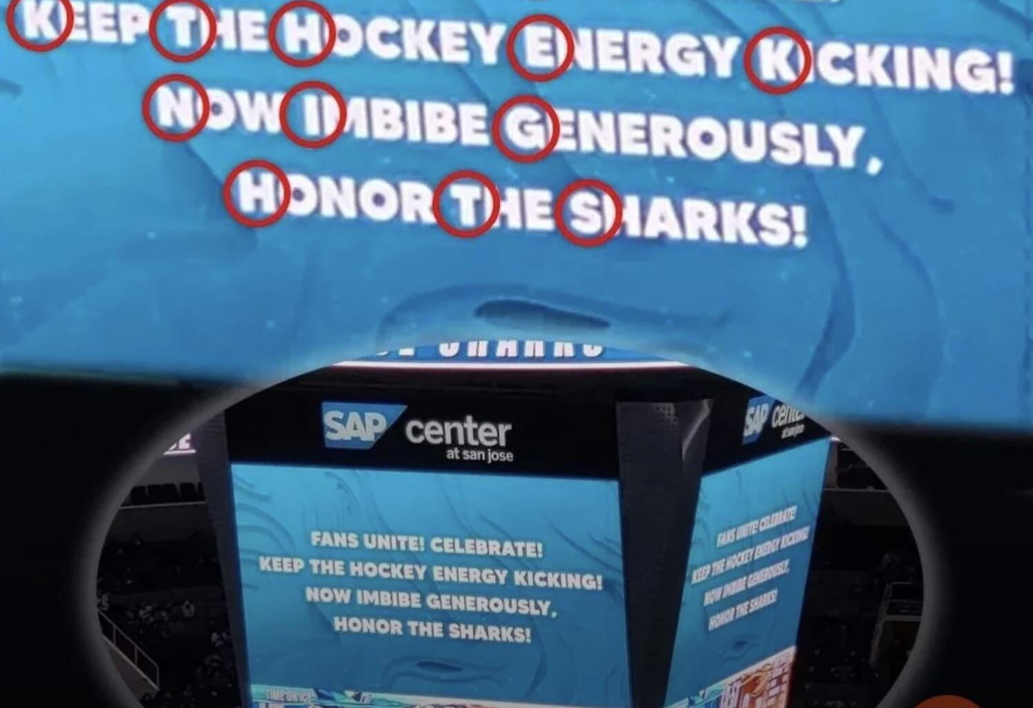 From a Sharks feed