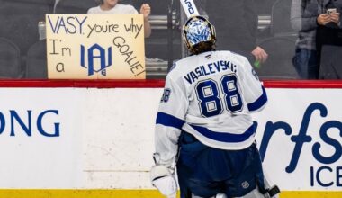 Our big cat showing some love to a little cat. Unsure of what game this was from.