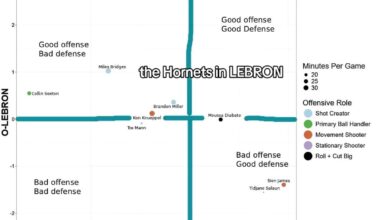 Hornets in LEBRON (all in one metric)