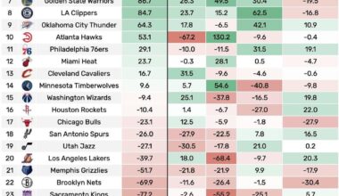 The Nets are a Bottom 10 Shooting Team, Clowney is the 8th worst shooter and MPJ is the 21st best shooter in The League.