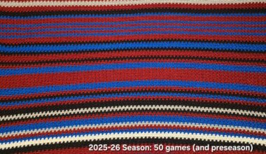 Crochet Visualization of the First 50 Games (and Preseason): The Suddenly Gray Edition