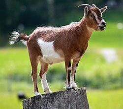 Just a picture of José 4amirez