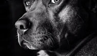 Spurs always choking in the 3rd and fourth quarter bru