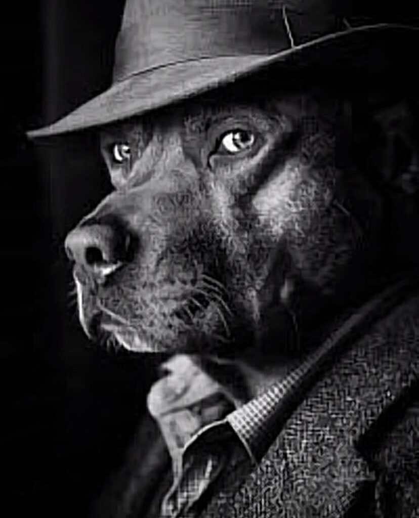 Spurs always choking in the 3rd and fourth quarter bru