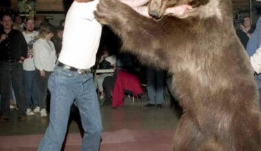 Ha-Seong Kim 10 seconds after signing with the Braves: