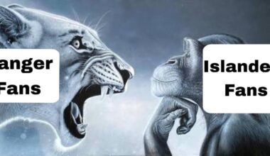 Summary of any twitter comment section of a Islanders of Rags post