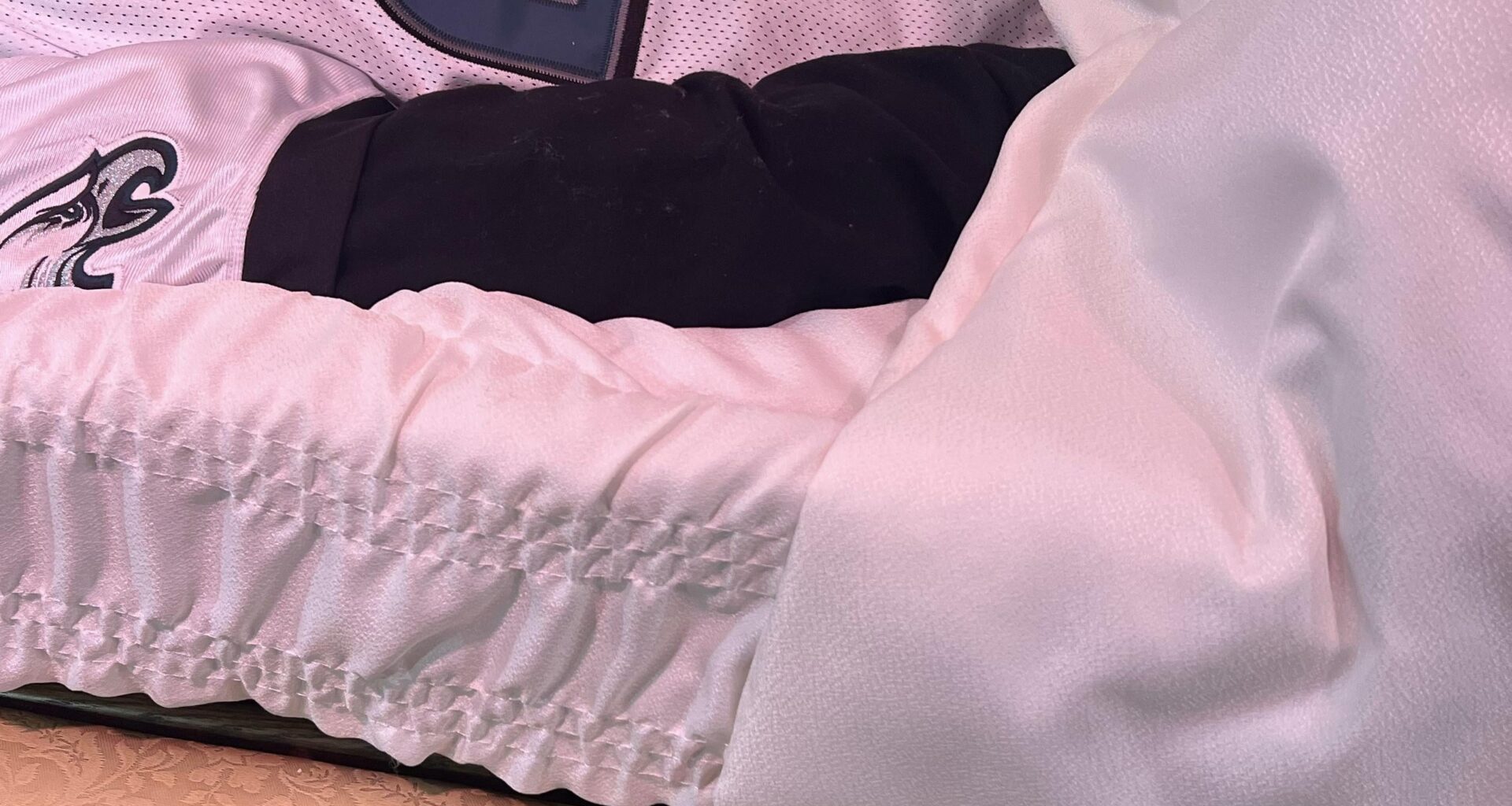 Can I get a Go Birds for my cousin who I just said goodbye to for the last time.