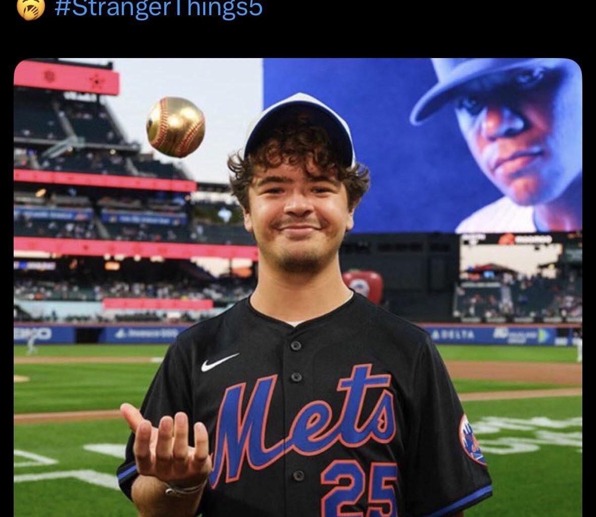 Stranger Things Mets
