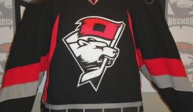 Should The Checkers reaffiliate with the Canes?