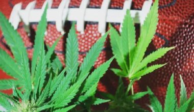 Seven of Eight Remaining NFL Playoff Teams Come From States Where Recreational Marijuana Is Legal