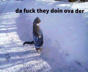 Philip Rivers could be the next head coach in Buffalo??