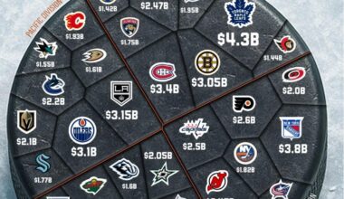 Visual Capitalist does NHL
