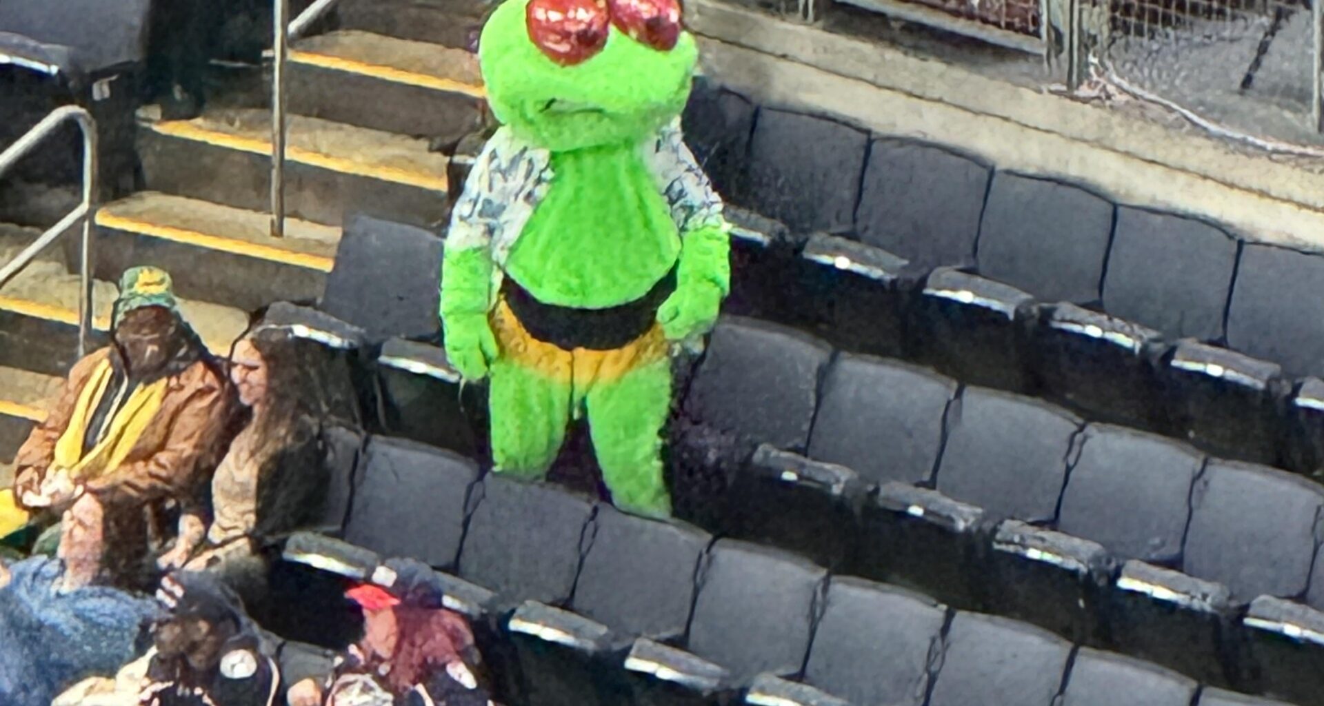 Can’t believe they just let him have his whole stinger out like that