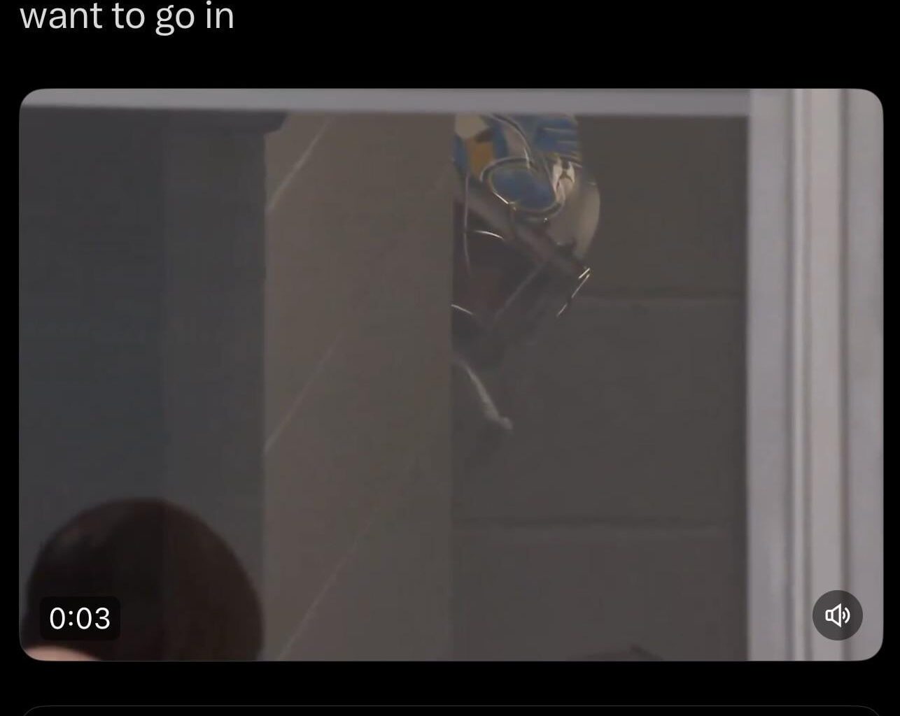 I will cherish this photo of Hofer hiding during a Binnington collapse forever ❤️🤣