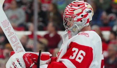 [Max Bultman]Five Red Wings questions that could define Detroit’s second half (Paywall)