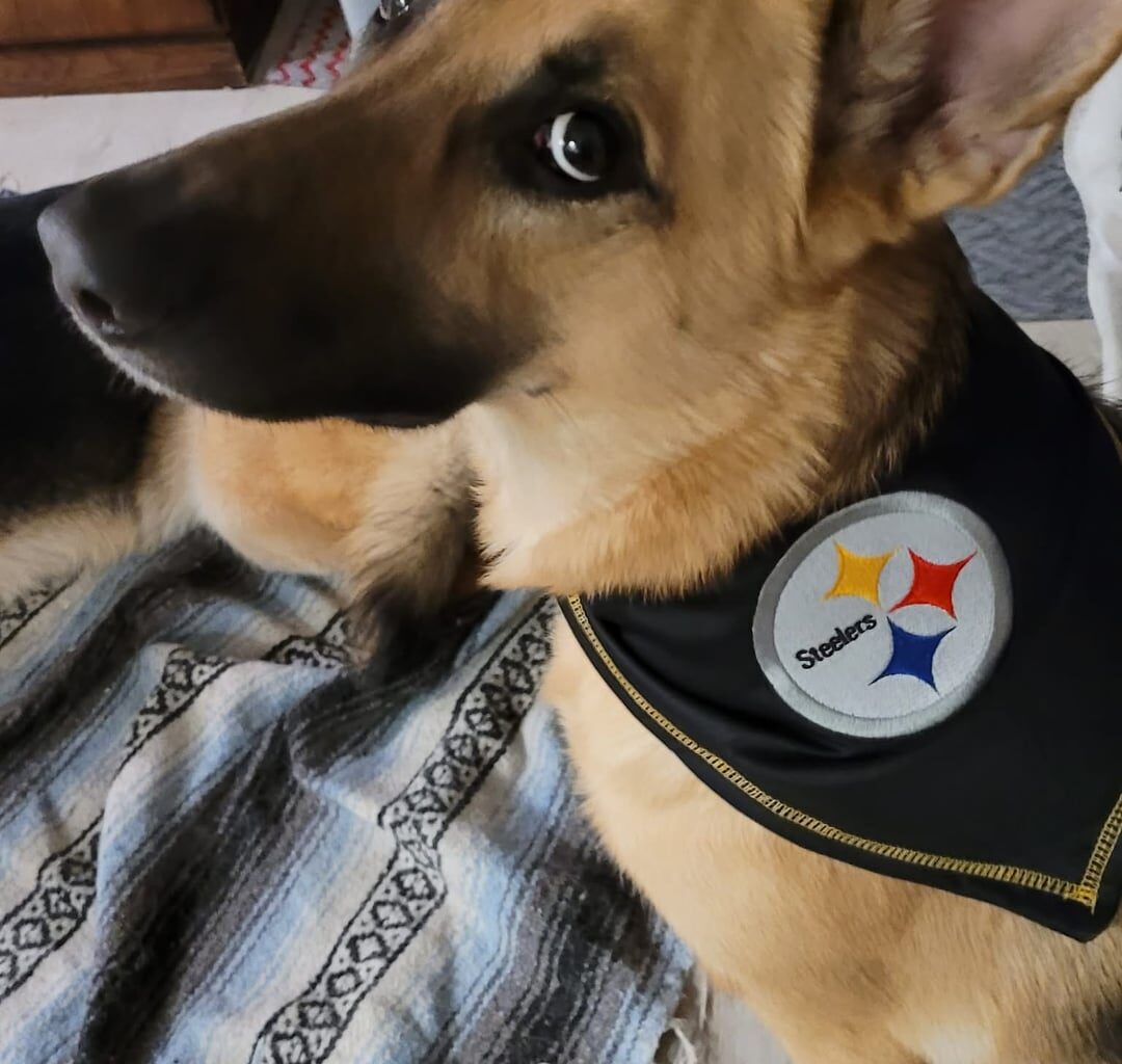 All set for tomorrow