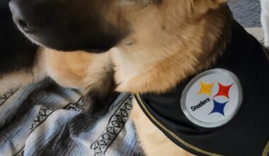 All set for tomorrow