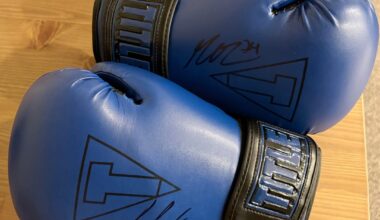 The enforcers and undisputed heavyweight champions of the NHL